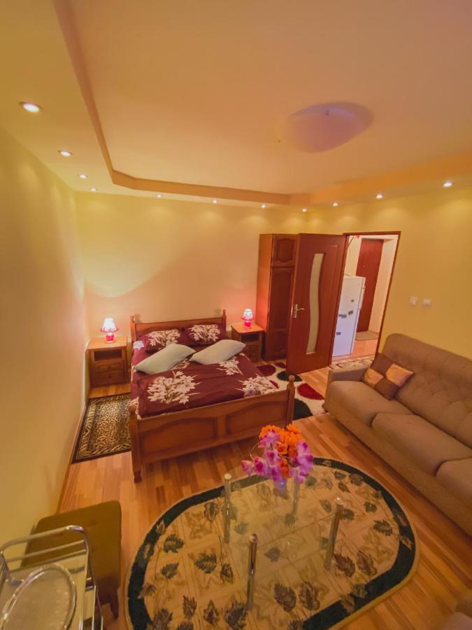 Apartament Cristian Geoagiu Băi Buitenkant foto