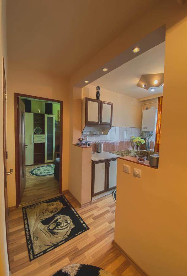 Apartament Cristian Geoagiu Băi Buitenkant foto