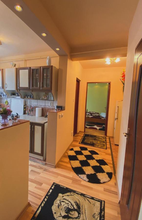 Apartament Cristian Geoagiu Băi Buitenkant foto