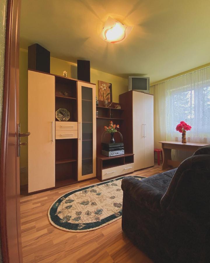 Apartament Cristian Geoagiu Băi Buitenkant foto